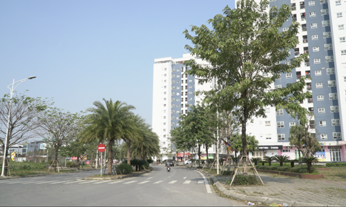 Hà Nội sẽ kiểm tra, rà soát các dự án được giao trước 01/8/2008