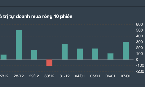 Tự doanh gom ròng hơn 1.000 tỷ đồng trong 5 ngày qua, cổ phiếu nào được mua nhiều nhất?