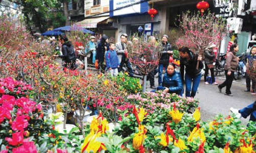 Hà Nội tổ chức 78 điểm chợ hoa Xuân phục vụ Tết Nhâm Dần 2022 