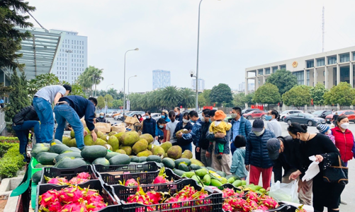 Giải cứu thanh long, bộ Công thương gửi công văn đề nghị Bộ Nông nghiệp và các tỉnh phối hợp