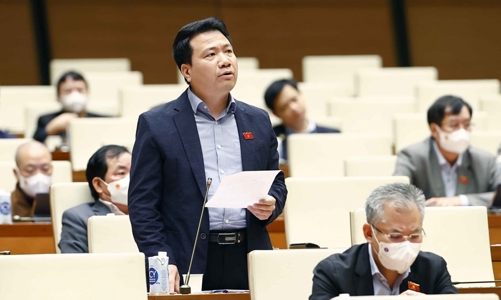 Sửa Luật Nhà ở: Cần xem xét thấu đáo, tránh chỉ mang lại lợi ích cho chủ dự án, người gom đất