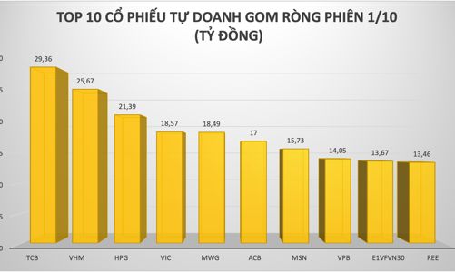Tự doanh tích cực gom hàng trong phiên Vn-Index 