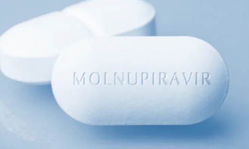 Ấn Độ loại Molnupiravir khỏi thuốc điều trị Covid vì tác dụng phụ: Bộ Y tế nói gì ? 