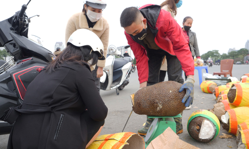 Nông sản giá rẻ như cho trên vỉa hè Hà Nội