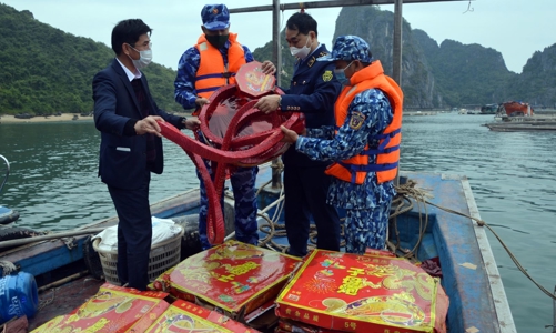 Các loại pháo nổ đang được 