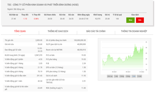 TDC sắp đấu giá 35 triệu cổ phiếu, giá khởi điểm 27.900 đồng/cổ phiếu