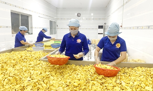 1.000 tấn mít Việt được chế biến tham gia xúc tiến tại Australia