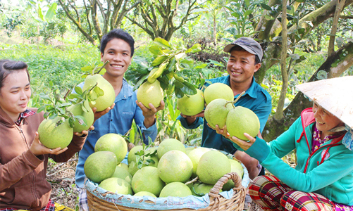 Người Anh tìm kiếm sản phẩm Việt Nam nhiều nhất trên chợ  online
