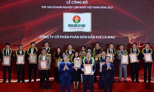 Bất chấp Covid-19, doanh thu 2021 của DCM đạt trên 10.000 tỷ đồng