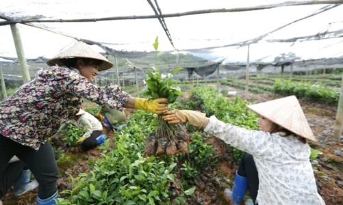 75.000 tỷ đồng thực hiện mục tiêu giảm nghèo đến năm 2025