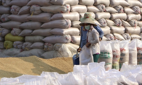 Chi phí tăng vọt, doanh nghiệp xuất khẩu TP.HCM lo không xuất được hàng