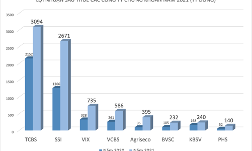 Nhiều công ty chứng khoán báo lãi kỷ lục trong năm 2021