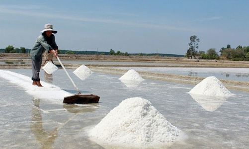 Nghề muối lạc hậu đến bao giờ?