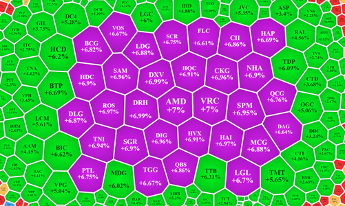 Lại đua giá trần, “cơn say” chưa tỉnh?