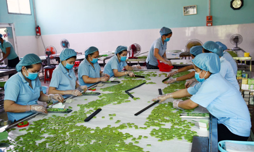 Hỗ trợ doanh nhân nữ trong thương mại điện tử xuyên biên giới