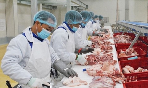 Nhóm sản phẩm chăn nuôi nhập siêu gần 3 tỷ USD 