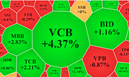 Áp lực T+3, cổ phiếu đầu cơ lại giảm hàng loạt