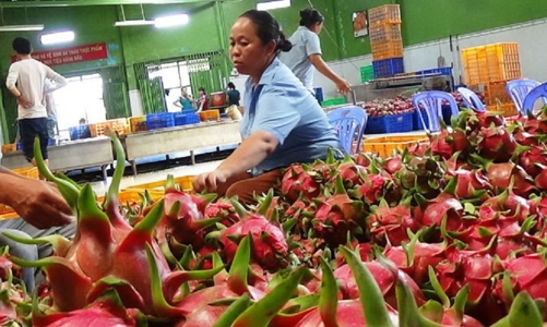 EU bổ sung mì ăn liền của Việt Nam vào danh sách kiểm tra ethylene oxide