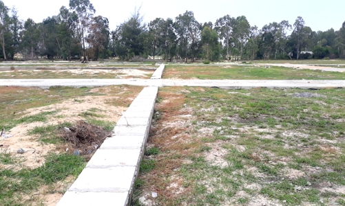 Bình Dương buộc khôi phục tình trạng ban đầu của đất đối với trường hợp vi phạm