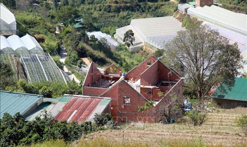 Sở Xây dựng Lâm Đồng đề nghị xử phạt Công ty Phương Nam do xây dựng 20 công trình không phép