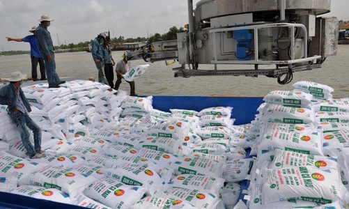 Chi 1,45 tỷ USD nhập khẩu phân bón trong năm 2021, 42% là từ Trung Quốc