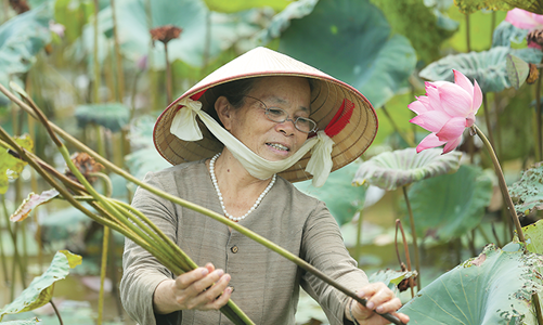 Dệt tương lai làng nghề từ tinh túy quốc hoa
