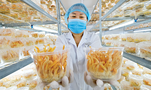 Chuyện của nữ tỷ phú nông dân với khát vọng trồng “vàng”