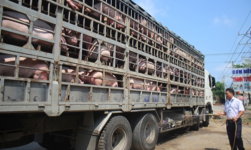 Sản xuất nông nghiệp đầu năm khởi sắc