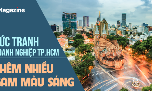 Bức tranh doanh nghiệp TP.HCM thêm nhiều gam màu sáng