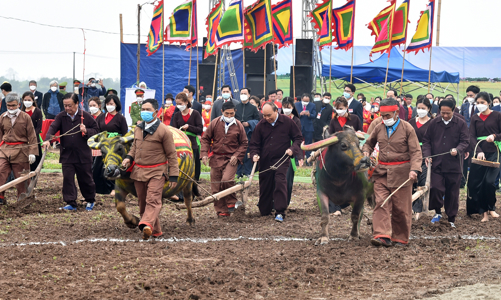 Chủ tịch nước dự lễ hội Tịch điền Đọi Sơn tại Hà Nam, tôn vinh nền nông nghiệp Việt Nam
