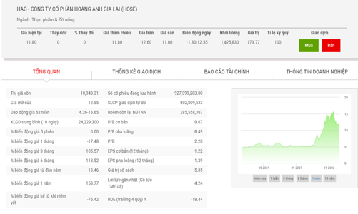 Thuyết minh không đầy đủ, HAG bị phạt tiền