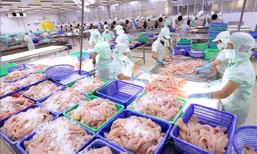 Hàng vạn doanh nghiệp tư nhân kinh doanh bền vững sẽ được hỗ trợ chuyển đổi số