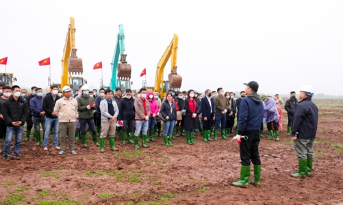 Khởi động Tết trồng cây tại khu dự án đô thị sinh thái Văn Giang