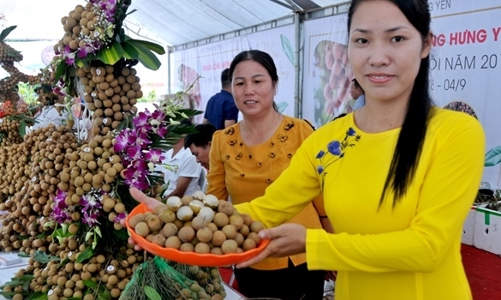 Nhiều thách thức “ngáng đường” các sản phẩm OCOP 