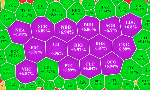 Tiền vào Midcap, cổ phiếu bất động sản thanh khoản ấn tượng