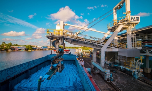 Phân Bón Cà Mau chủ động xuất khẩu trong thời gian thấp vụ 