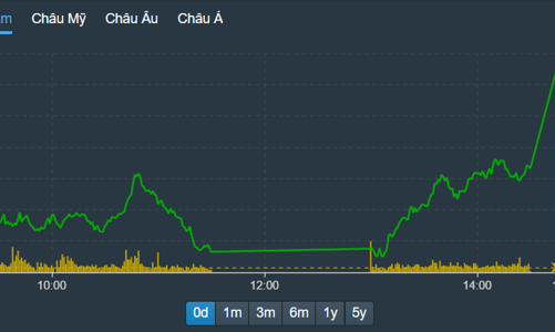 Đẩy giá ngoạn mục ngày đáo hạn, VN30-Index tăng 19 điểm