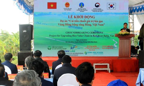 Khởi động dự án Cải tiến chuỗi giá trị lúa gạo vùng Đồng bằng sông Hồng