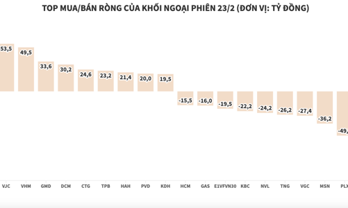 Khối ngoại liên tục gom ròng cổ phiếu DXG