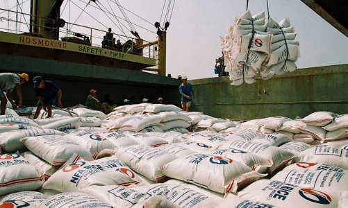 Hàn Quốc phân bổ nhập hơn 55.000 tấn gạo từ Việt Nam theo hạn ngạch thuế quan