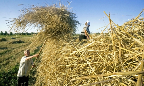 Căng thẳng leo thang ở Ukraine khiến chuỗi cung ứng gánh hậu quả