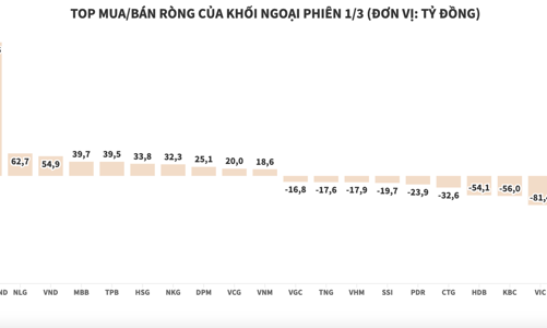 Khối ngoại gom chứng chỉ quỹ FUEVFVND, tiếp tục xả HPG