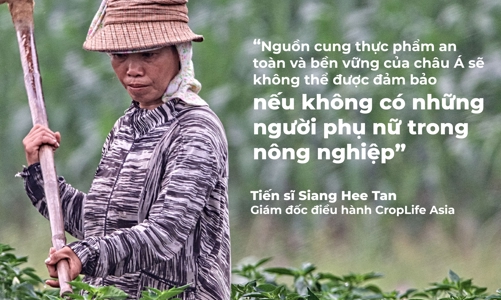 Phụ nữ đang bị đối xử bất công trong sản xuất nông nghiệp