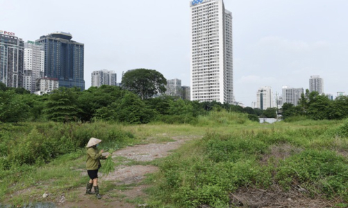 Hải Phòng cưỡng chế thu hồi 9.165m2 đất xây dựng Trung tâm thương mại và khách sạn cao cấp 