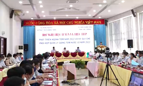 Sản xuất tôm thiếu bền vững do phụ thuộc nhập khẩu