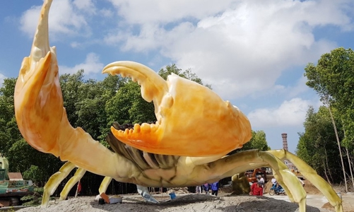 Lần đầu tiên có “Ngày hội cua” tại Việt Nam