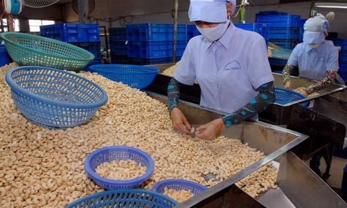 Bộ Công Thương hỗ trợ 