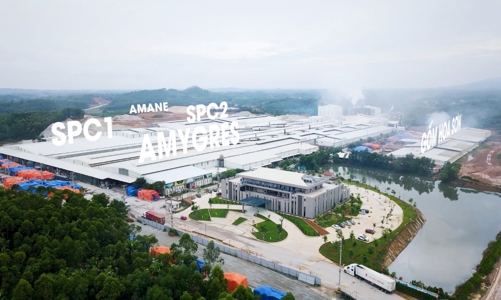 Amy Grupo thần tốc khẳng định thương hiệu trên thị trường quốc tế