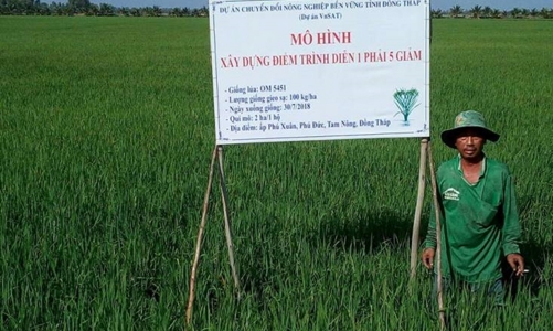 Dự án VnSAT chậm tiến độ, còn hơn 500 tỷ đồng phải thực hiện từ nay đến cuối năm