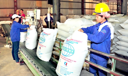 Đường nhập lậu đang “ép” ngành sản xuất trong nước